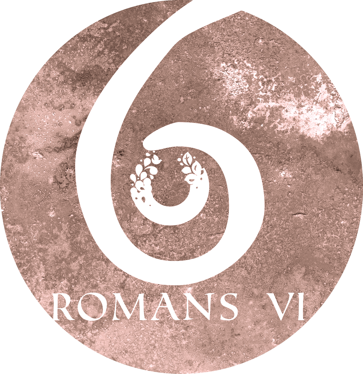 Romans 6: Part 4 "FRESH"